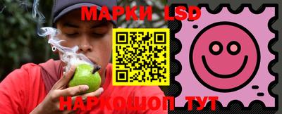 mdpv Новодвинск