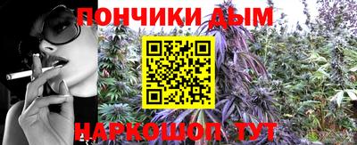 mdpv Новодвинск