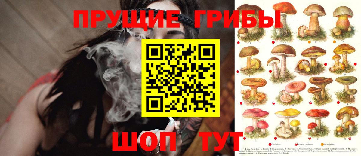 Псилоцибиновые грибы Magic Shrooms  Вход с VPN  Кохма 