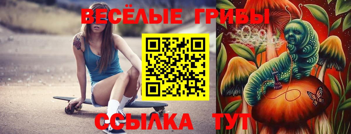 Псилоцибиновые грибы Cubensis Кохма