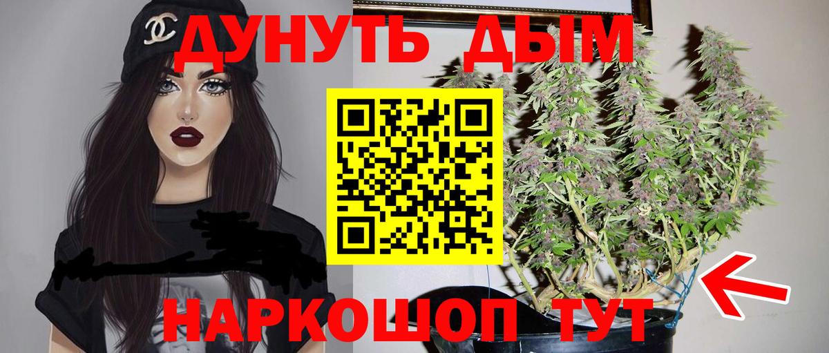 Кохма  Бошки Шишки план  Вход с VPN  Канабис THC 21%  Канабис тримм 